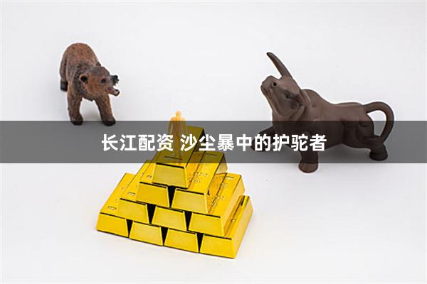 长江配资 沙尘暴中的护驼者