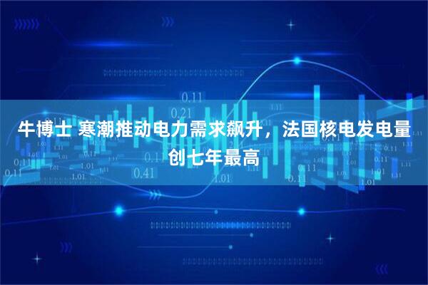 牛博士 寒潮推动电力需求飙升，法国核电发电量创七年最高