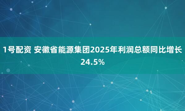 1号配资 安徽省能源集团2025年利润总额同比增长24.5%