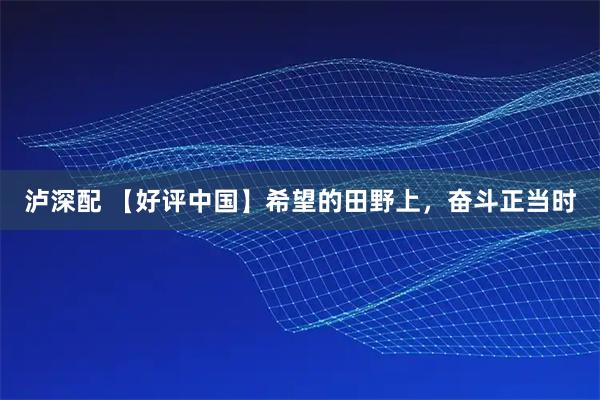 泸深配 【好评中国】希望的田野上，奋斗正当时